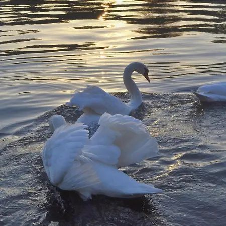 Διαμέρισμα Atmosfera *